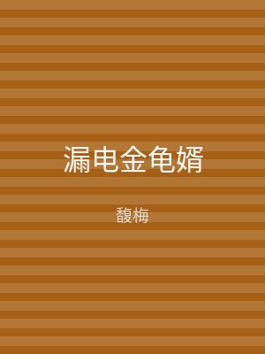 漏电金龟婿