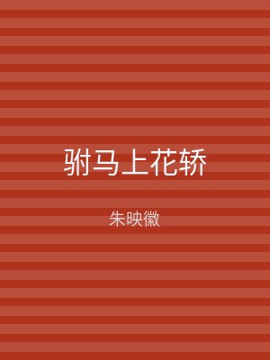 驸马上花轿