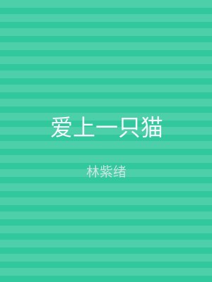 爱上一只猫