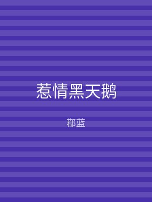 惹情黑天鹅