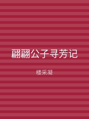 翩翩公子寻芳记
