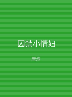 囚禁小情妇