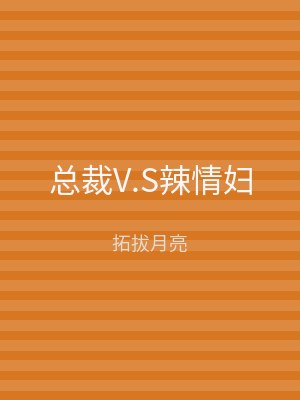 总裁V.S辣情妇