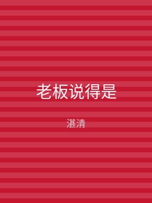 老板说得是