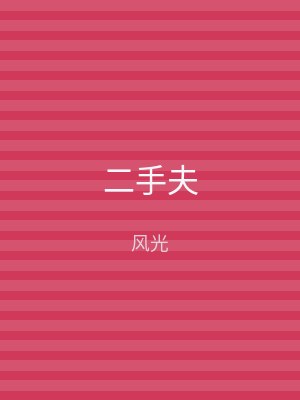 二手夫