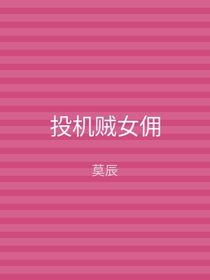 投机贼女佣
