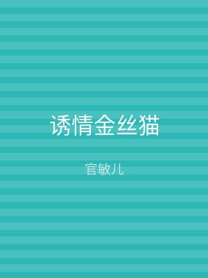 诱情金丝猫
