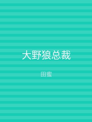 大野狼总裁