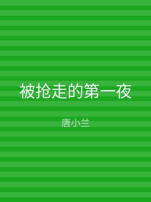 被抢走的第一夜