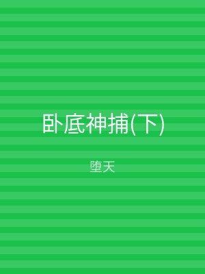 卧底神捕(下)