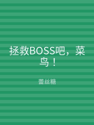 拯救BOSS吧，菜鸟！