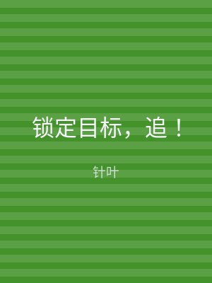 锁定目标，追！
