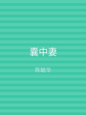 囊中妻