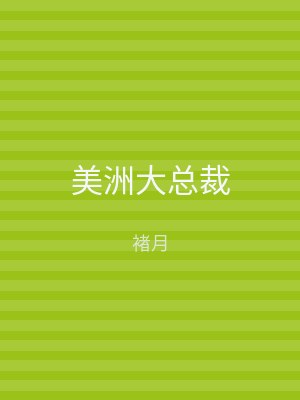 美洲大总裁