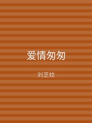 爱情匆匆