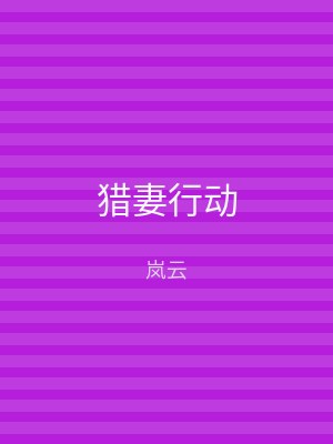 猎妻行动