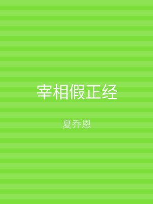 宰相假正经
