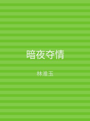 暗夜夺情
