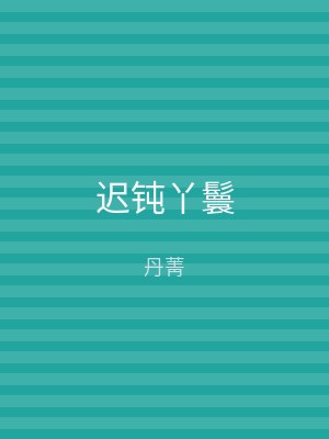 迟钝丫鬟